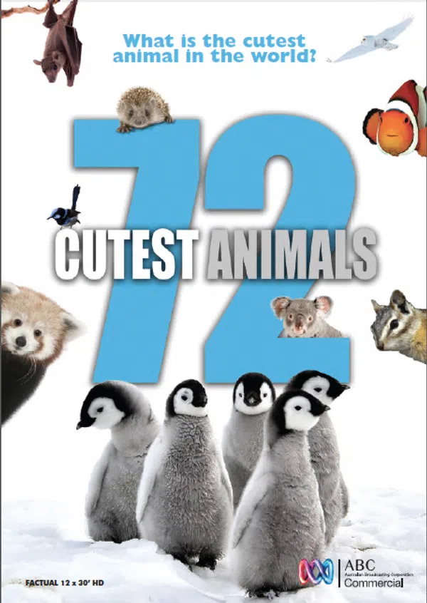 Xem Phim 72 loài động vật dễ thương nhất Vietsub HD Online
