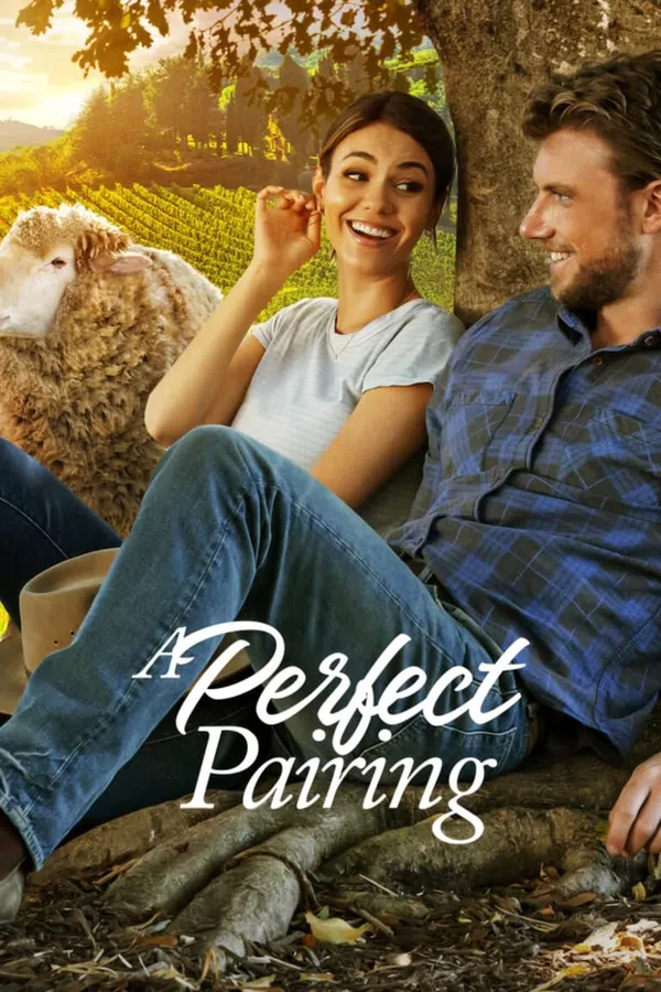 Xem Phim Bộ đôi hoàn mỹ Vietsub HD Online