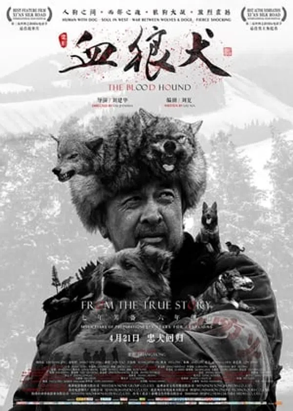 Chú Chó Anh Dũng