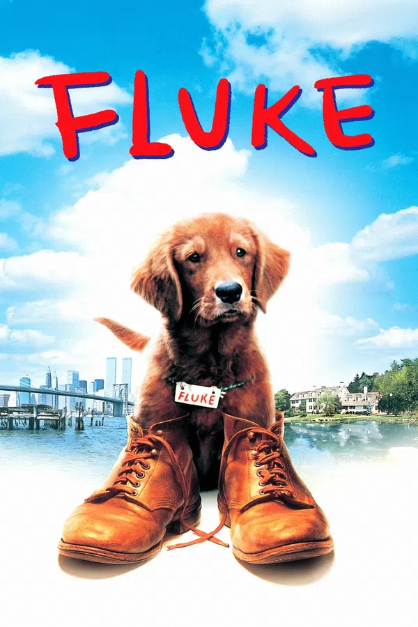 Poster phim Chú Chó Fluke trên Xem Phim Fun