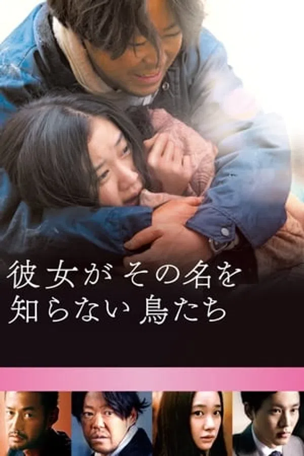 Xem Phim Loài Chim Vô Danh Vietsub HD Online