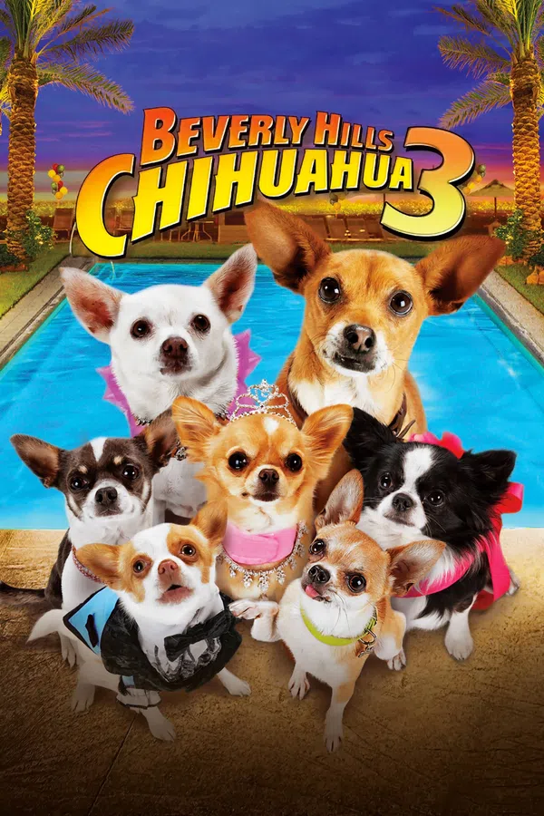 Poster phim Nữ Minh Tinh và Chàng Lãng Tử 3: Bữa Tiệc Lớn! trên Xem Phim Fun